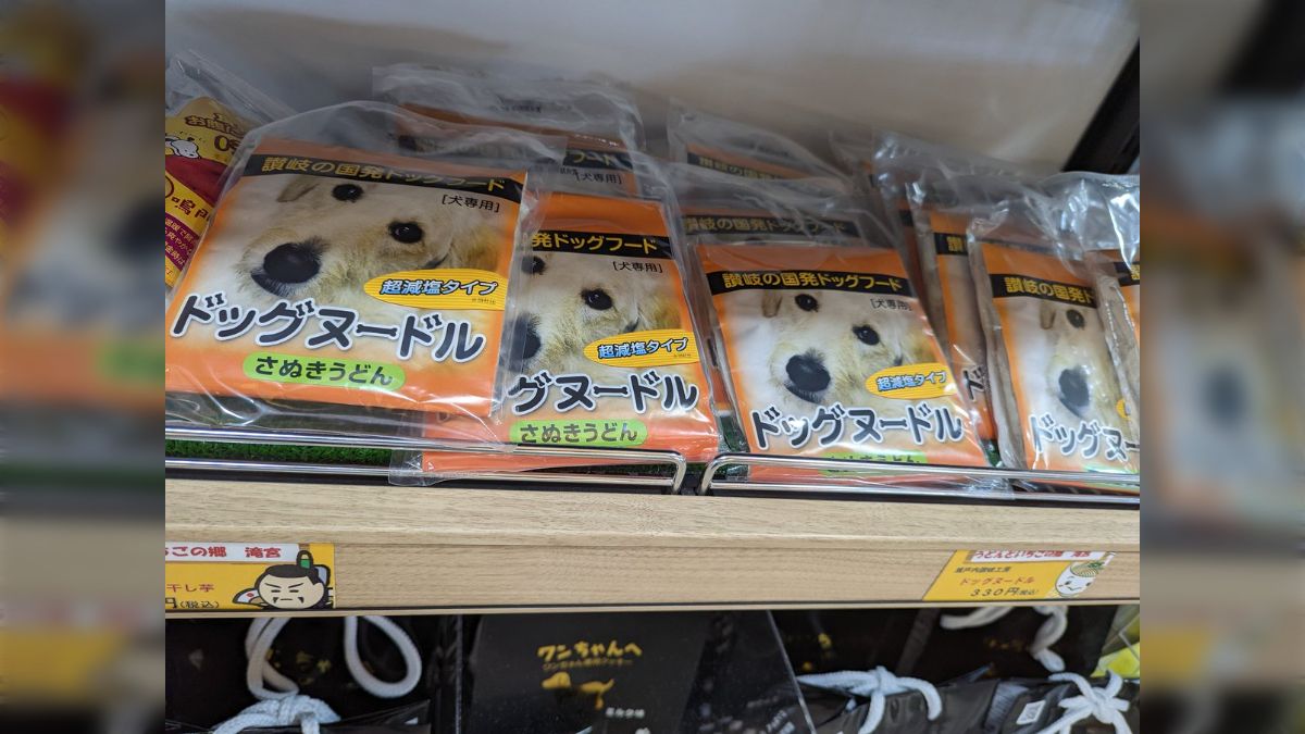 うどん県民、犬にまでうどん食わせるためにドッグヌードルを開発してしまう「ちゃんと超減塩って表記が」 - Togetter [トゥギャッター]