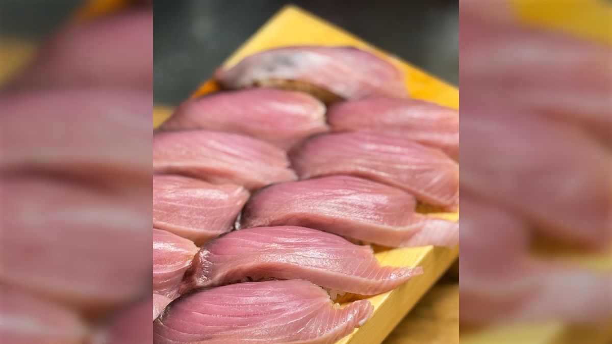 ポケモンの翼 (燻製済) ポケモンの翼 (燻製済)