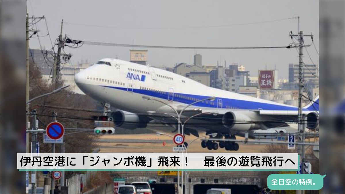 ANAボーイング747 伊丹イベント升 ANA、伊丹イベントでJA8961の747-400が伊丹空港に飛来 | FlyTeam