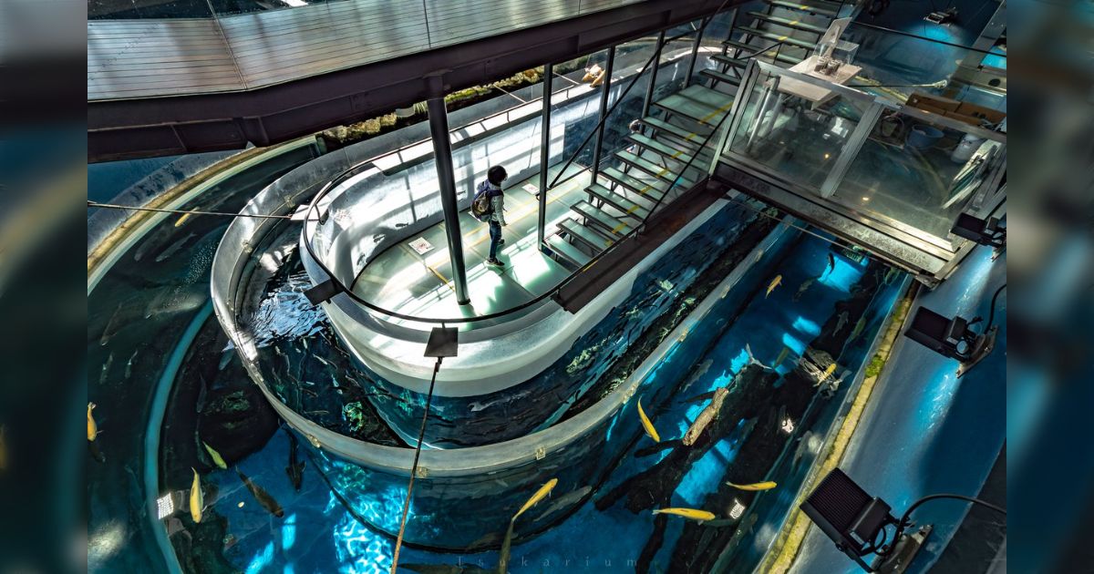 山梨県にある淡水魚を主に扱う「富士湧水の里水族館」が水槽の透明度が素晴らしく木とガラスを基調とした自然と調和した建築も素敵、まるでどうぶつの森の水族館 - Togetter