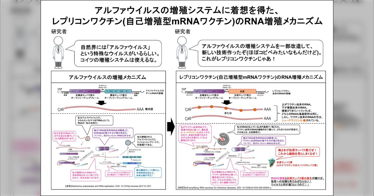 新型コロナウイルス感染症ワクチンとCOPD