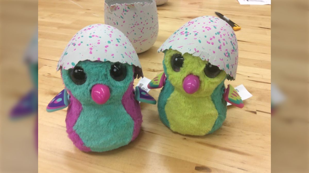 爆発人気！ うまれて ウーモ ピンク&ブルー Amazon | うまれて