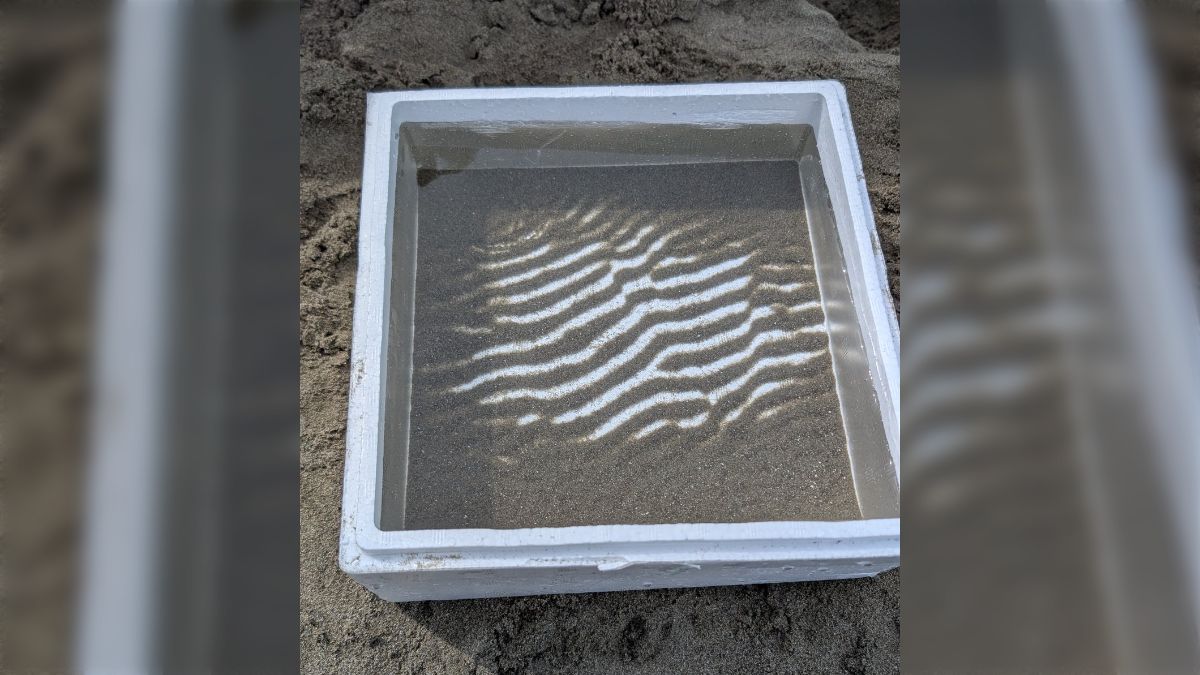 夏休みの自由研究に最適かも？発泡スチロールの箱に海水と砂を入れて運んだら、キレイな砂の模様ができた - Togetter