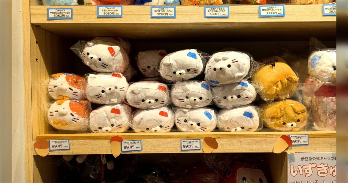 ころころにゃんこ目撃情報まとめ - posfie
