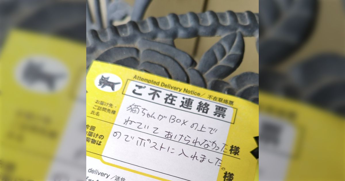 ヤマト運輸さんが荷物を宅配ボックスに入れられなかった理由がこれ→可愛すぎるし優しい世界「ヨシ！」「許す」「猫ちゃんは社長だから」