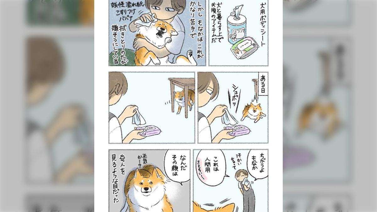 jk　こすりつけ 