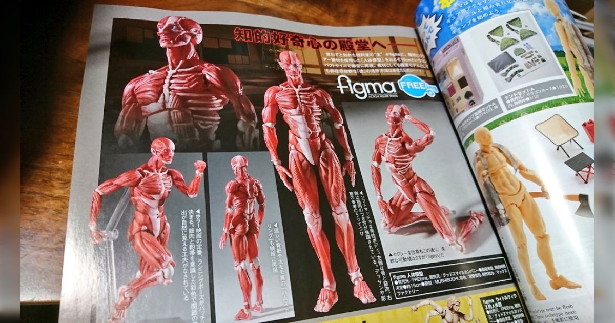 人体模型のfigmaが出るらしい。 - posfie