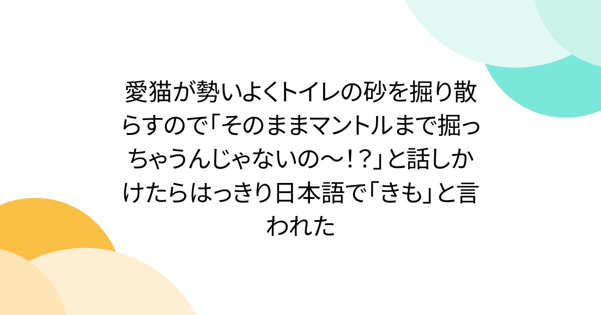 愛猫との日常をさらに楽しくする！
