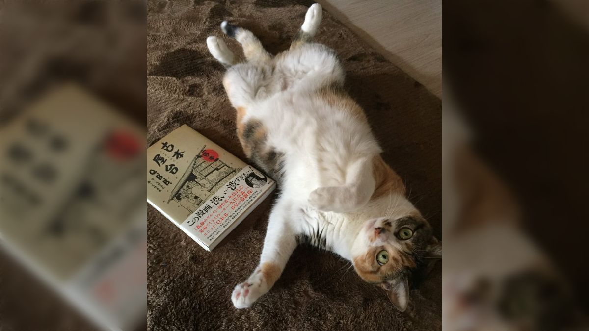 盃返納ホルダー慰労企画-01 - posfie