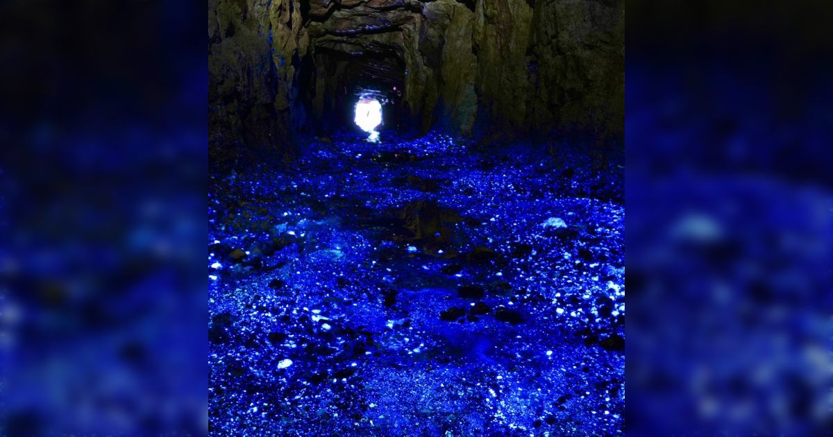 蛍石を見た子供達が目をキラキラさせていたら『一人5000円で採掘に