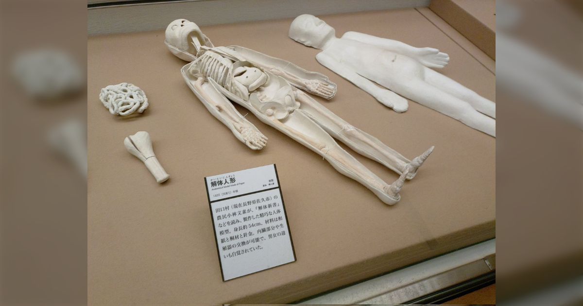 千葉にある国立歴史民俗博物館の"解体人形"の出来がとてもいい、また製作者が農民と書かれていて驚き