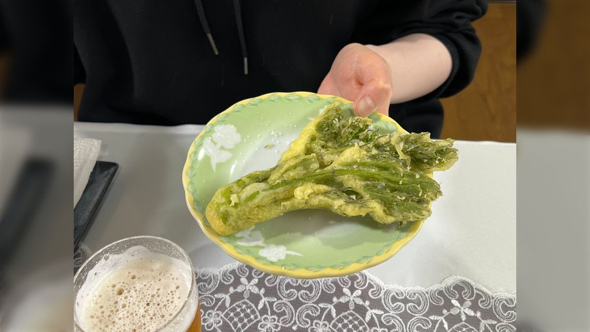 妻の実家で採れたタラの芽の天ぷらがびっくりするサイズ感だった 妻の実家で採れたタラの芽の天ぷらがびっくりするサイズ感だった
