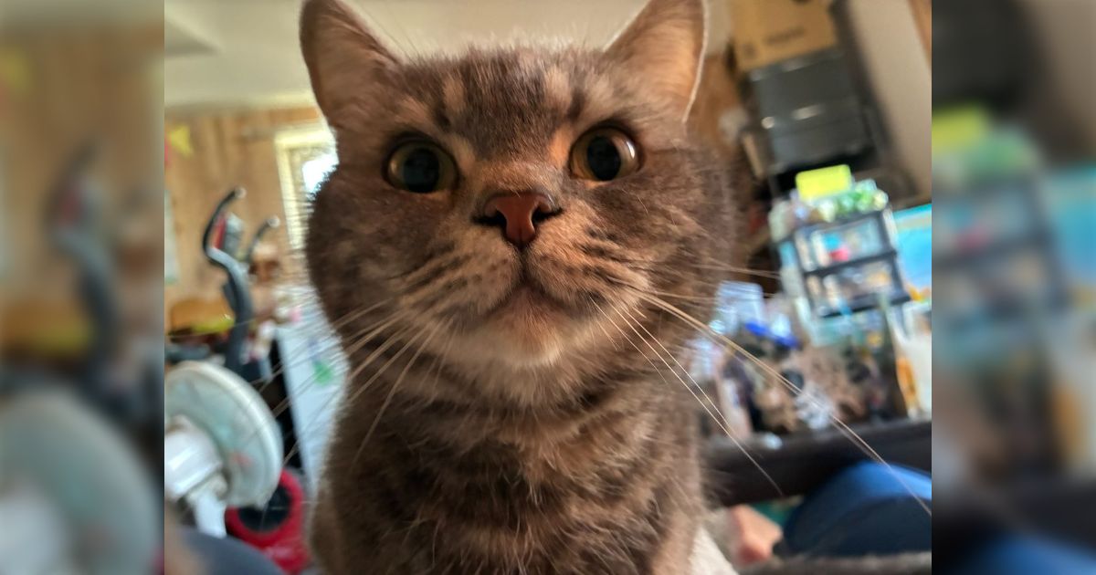 「動物の名前に絶妙な食品の名詞を採用しているにんげんがだいすきなので見せてください」若干わかる～！って子もいてかわいい画像集