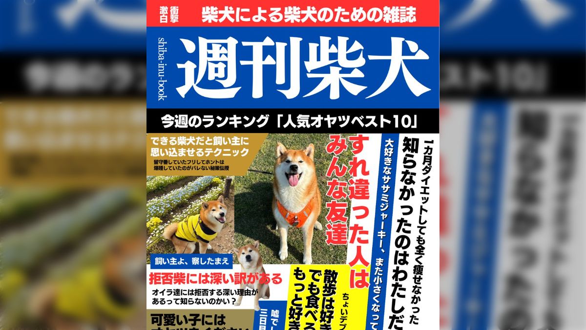 お得】 2冊 まとめ売り 柴犬ファンSpecial 1 2 雑誌 柴ちゃん
