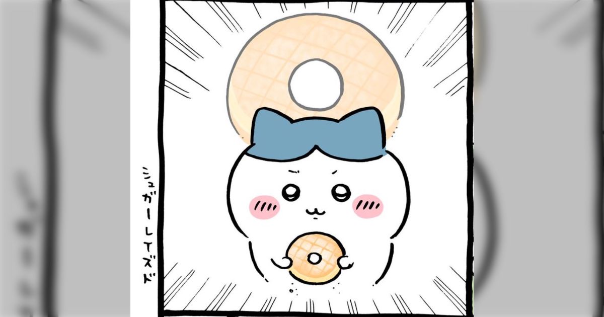 もっと違う優しさがあるもんね」ハチワレはうさぎを取り戻すため