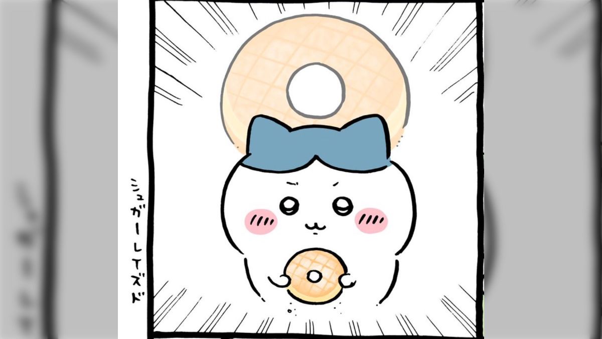 もっと違う優しさがあるもんね」ハチワレはうさぎを取り戻すために選ん 