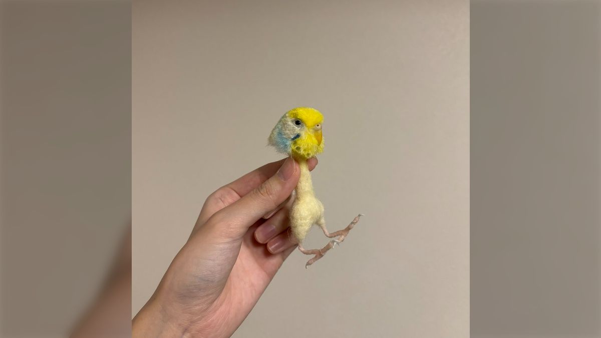 羊毛フェルトで作るセキセイインコの制作途中の姿がリアル過ぎて虐待