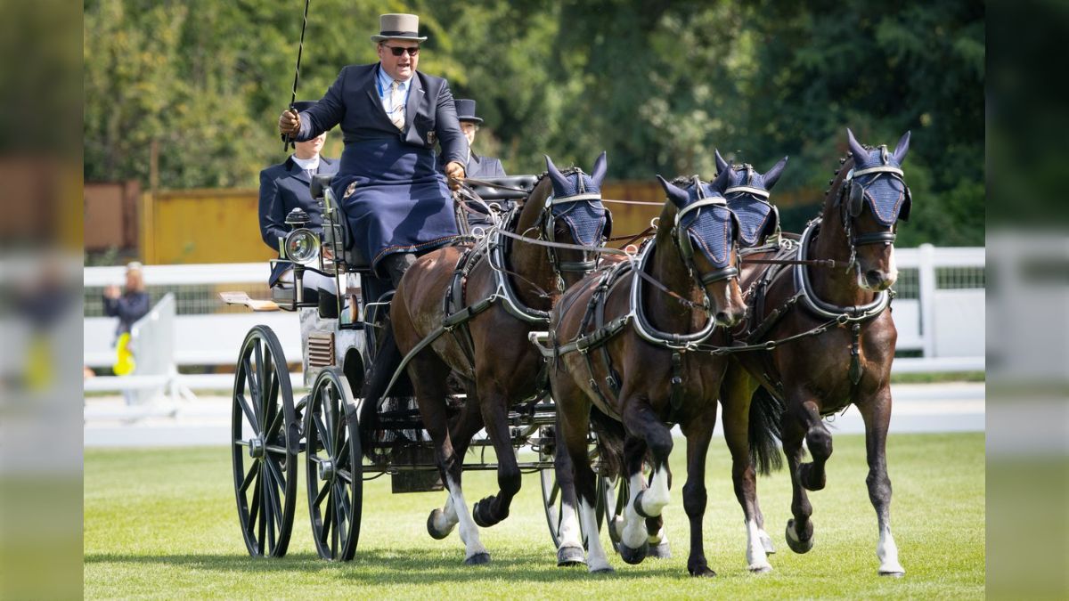 四頭立ての馬車による馬術競技の動画に『機動力がすごい！』と