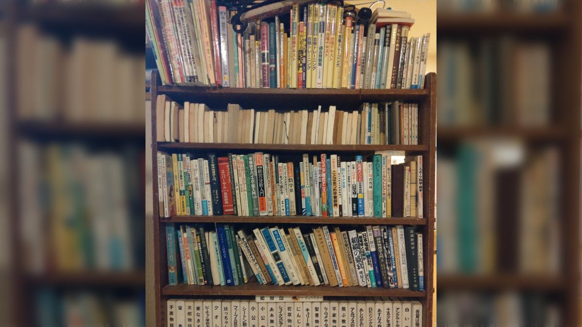 百科事典と本棚 本棚 書棚 漫画 コミック 収納 収納棚 壁面収納 文庫本 CD収納