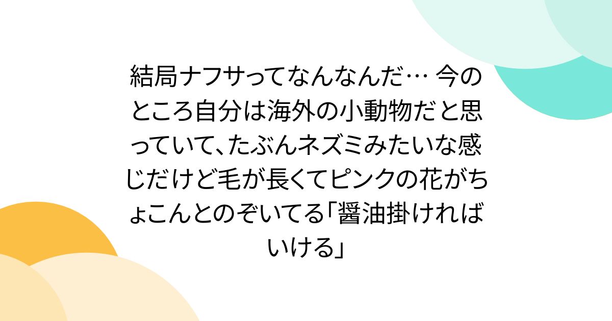小動物ナフサにまつわる話題が盛り上がる！