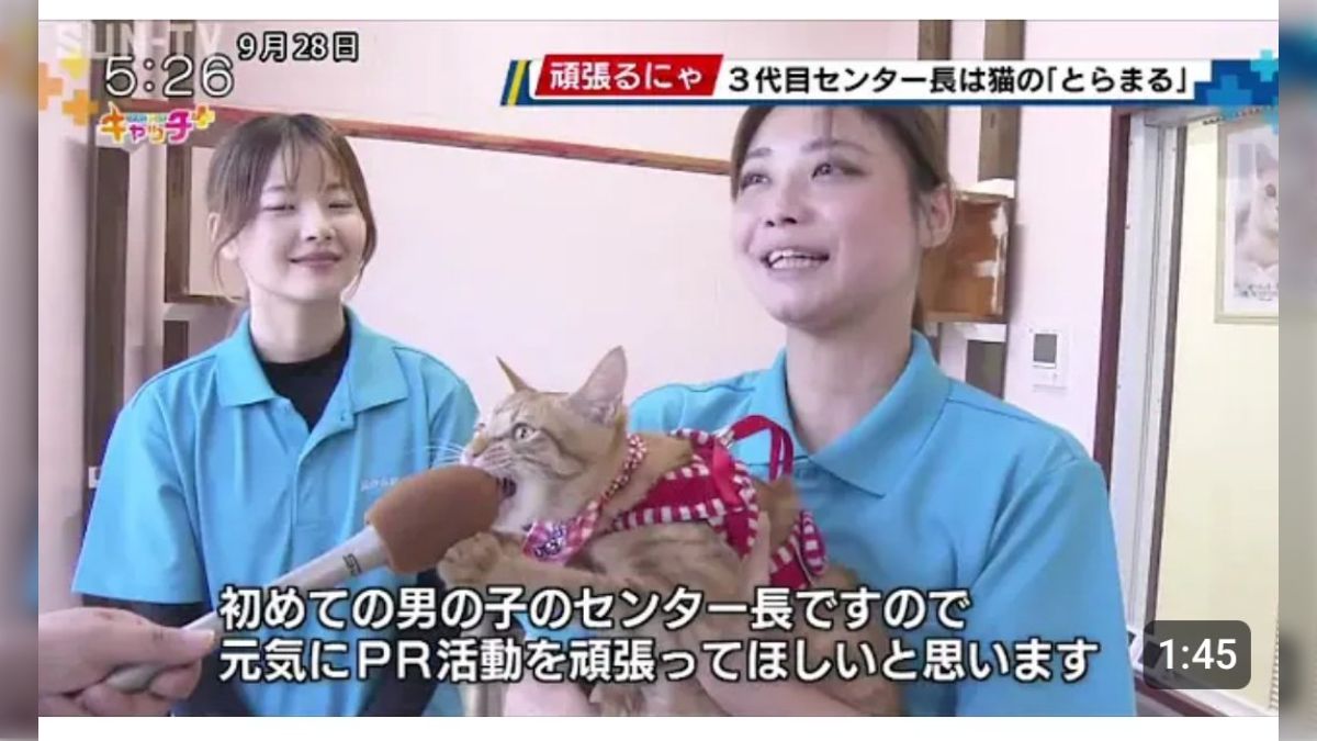 いろねこ@淫乱夫婦 on Twitter: サムネが良すぎるな」3代目センター長に就任した猫さん、マイクをガブリ「猫がコメントしているようにしか見えない」 - Togetter [トゥギャッター]