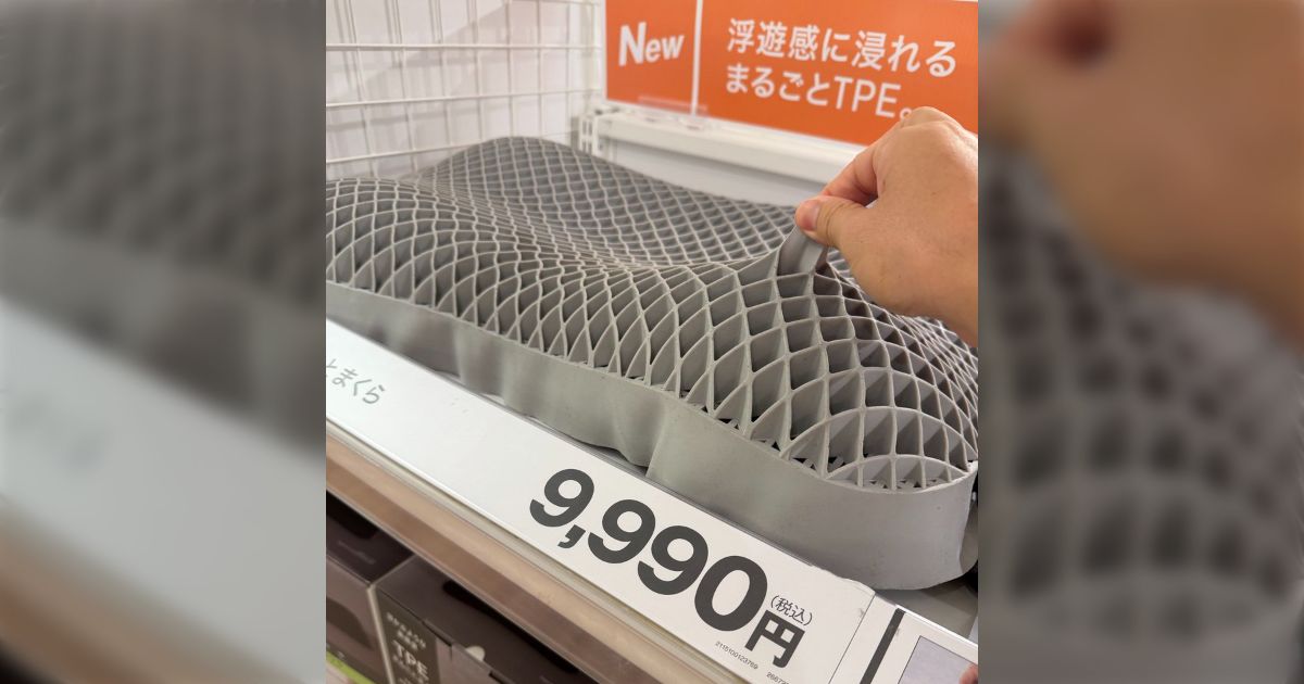 「こないだ3万円で『羊のいらない枕』を買ったのに」似たような枕が9900円でニトリに売ってた話…「品質はどうなの」「そもそもスペシャルで2万2000円だが？」など
