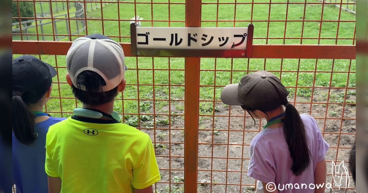 ゴールドシップ、誇張じゃなくマジでファンサがエグく放牧地の一番奥からわざわざ近づいて来てくれたりする「頭が良い」「おっさんだけで行くと塩対応」