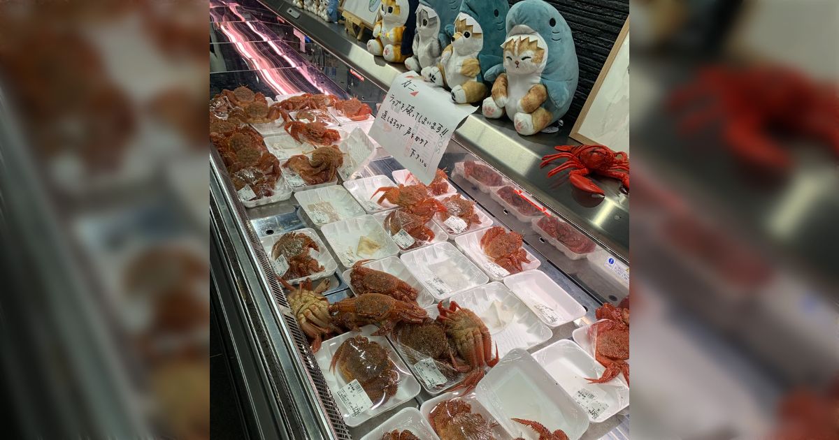 1年ぶりにやられた...毛蟹の集団脱走の様子に「手助けしてる仲間想いなやついる」