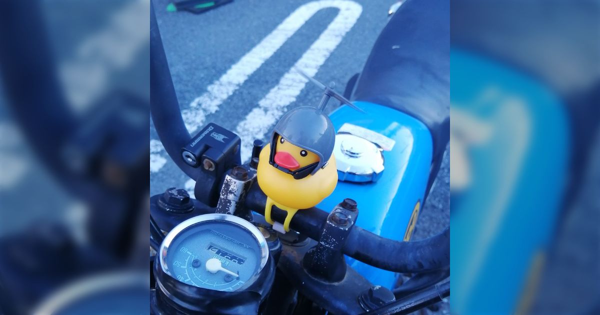 同僚のバイクにアヒルがいたので『アヒルかわいー』ってLINEしたら『買っとくね』って言われて『いらねえ』って断ったけど次の日本当にいて嬉しかった -  Togetter [トゥギャッター]