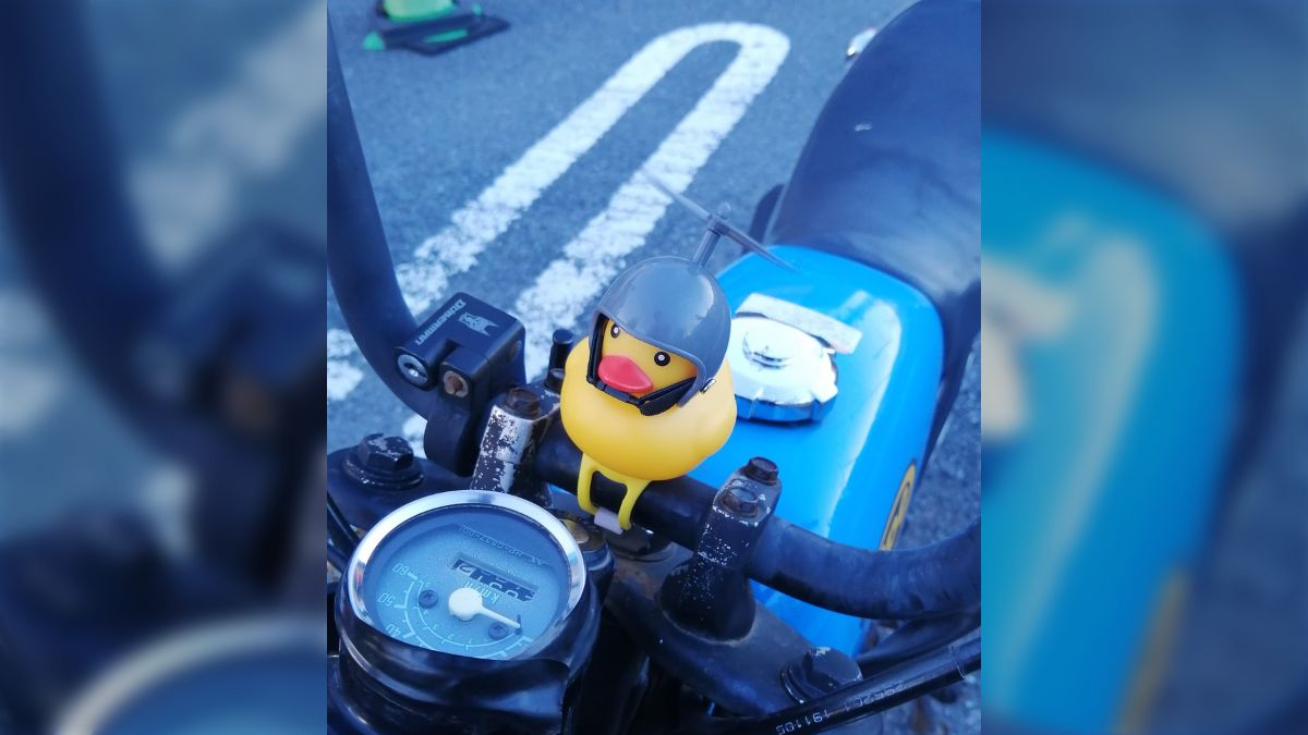 同僚のバイクにアヒルがいたので『アヒルかわいー』ってLINEしたら『買っとくね』って言われて『いらねえ』って断ったけど次の日本当にいて嬉しかった -  Togetter [トゥギャッター]