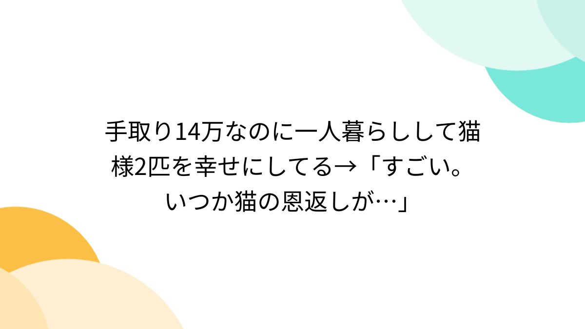 19万手取り ペット2匹 一人暮らし