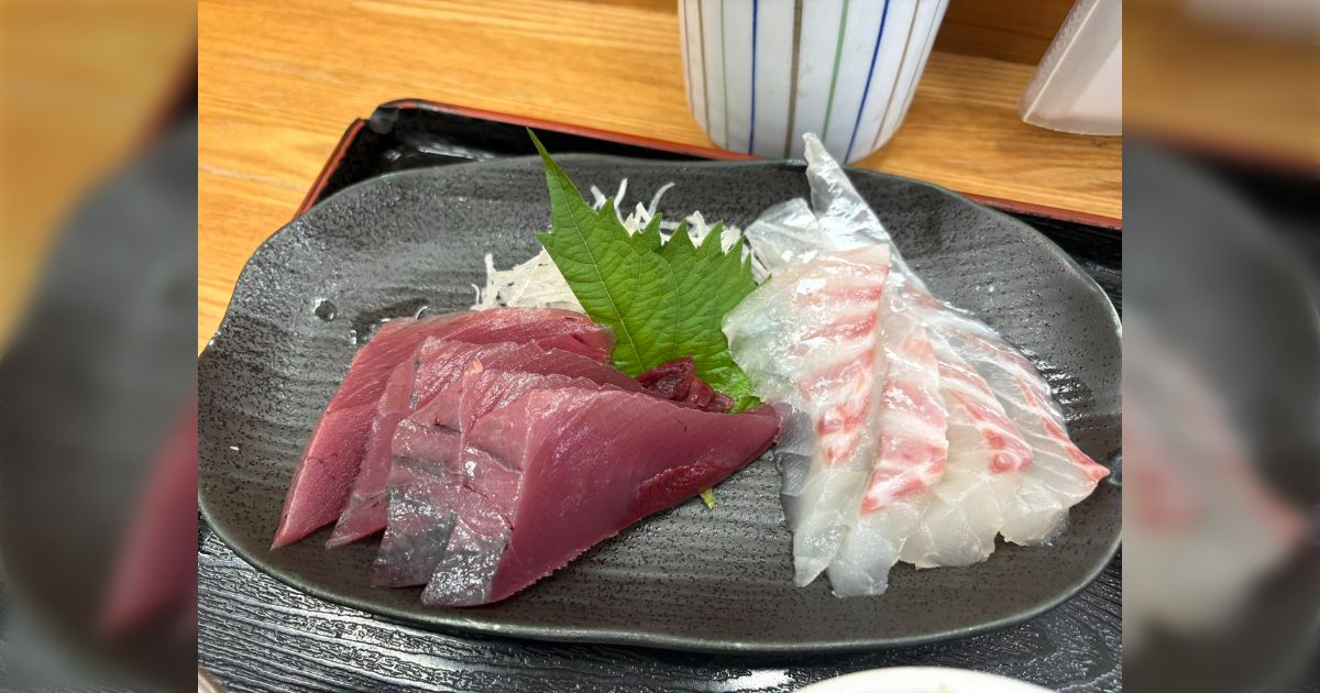 道後温泉で鯛めし食べてたら、隣席のおじさんが「カツオは愛南の市場食堂がうまい」と言い始めた→最高のカツオはこれだ！と各派閥が争い始める (2ページ目)