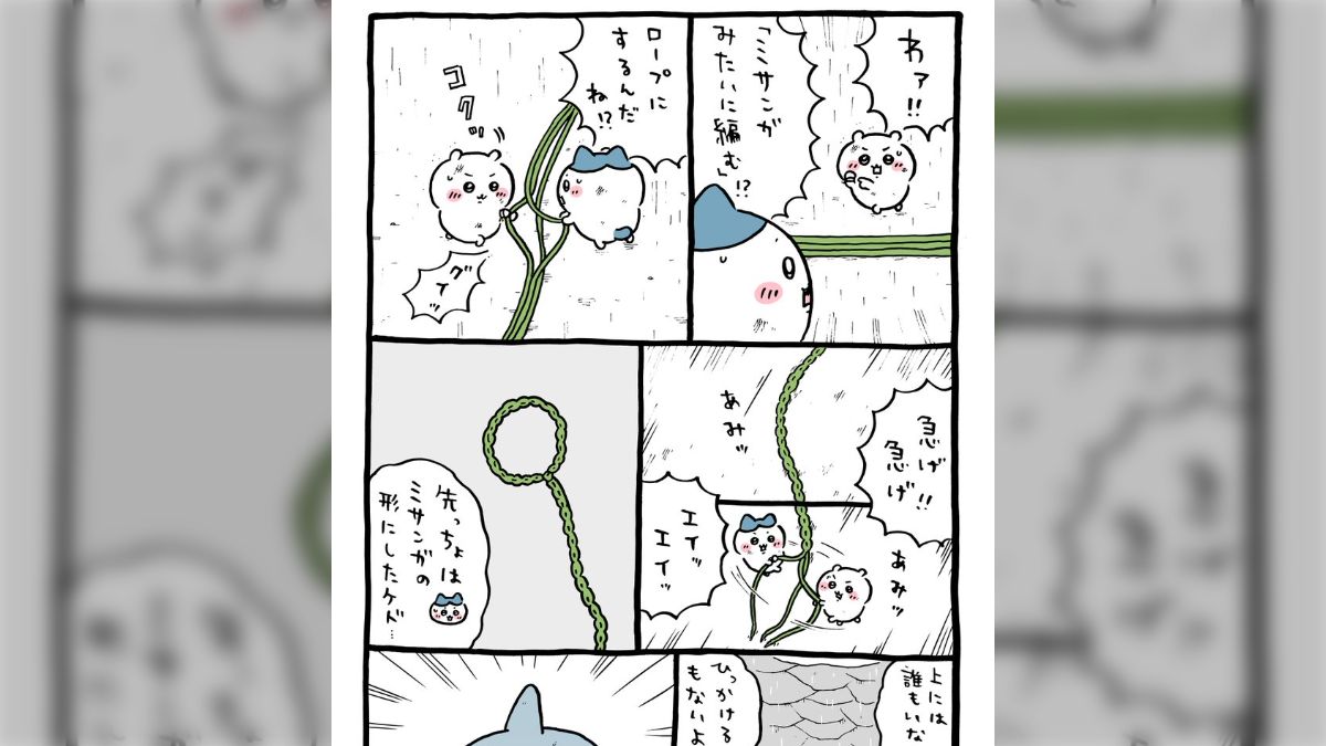 希少 黒入荷！ こないなァ.」いよいよ草むしり検定5級の本番なのだが肝心 その他