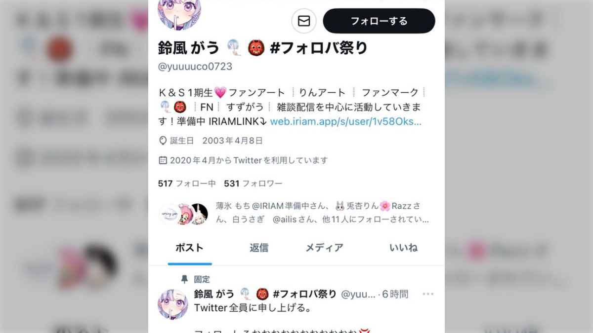 ぽぷら✿フォロー割ありますさん確認用