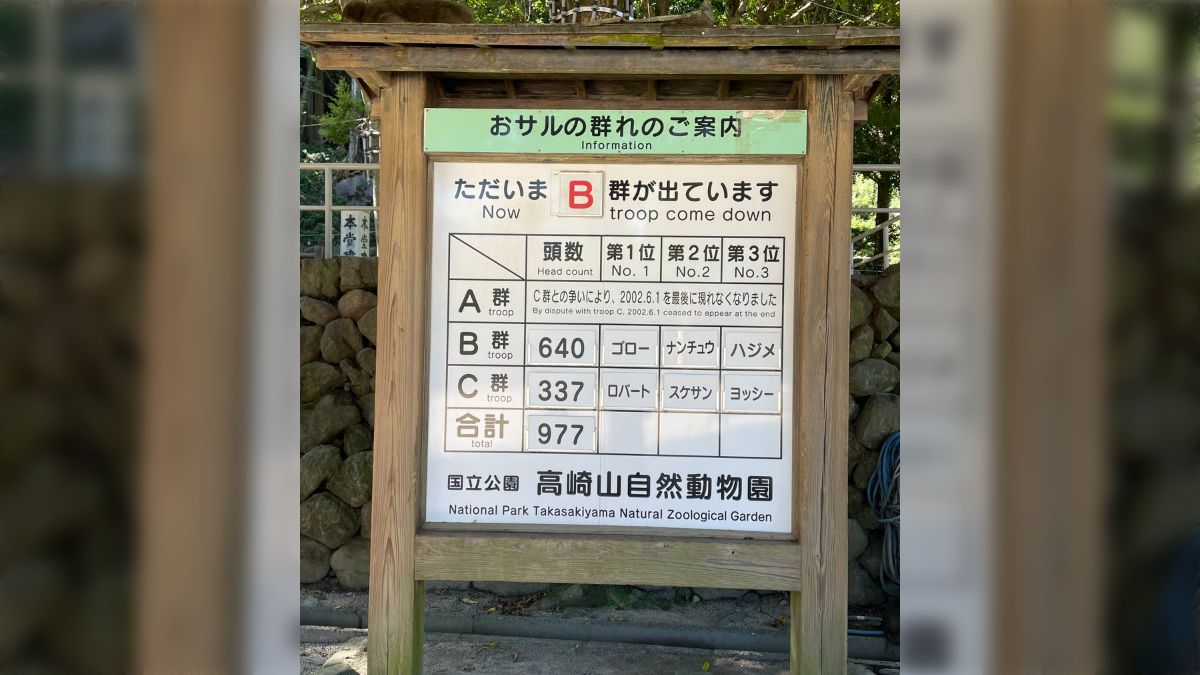 当時のメディア報道・掲載写真