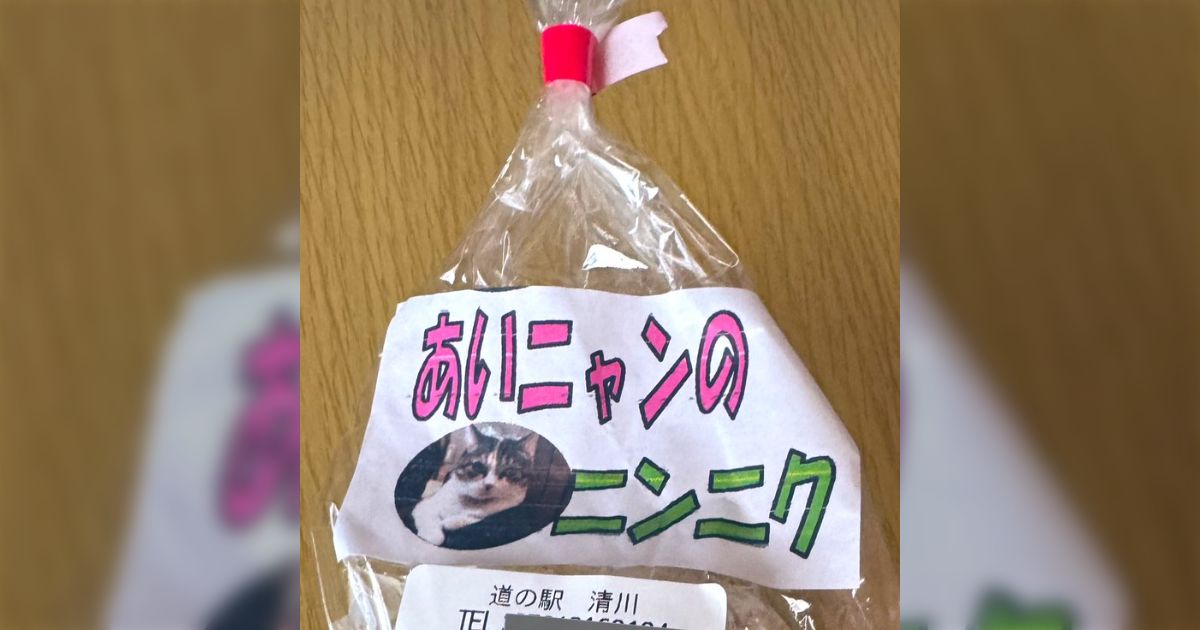 『生産者の顔が見える野菜』ならぬ『生産者の猫が見える野菜』秒で買った。美味しかった「なんでも猫にしたら売れると思って…一つください」