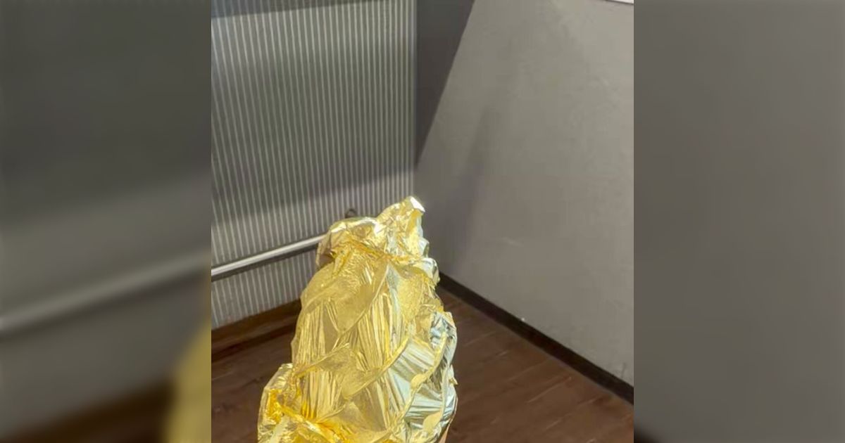 金箔食べるの意味が分からん→いろいろ盛り上がって賢くなる