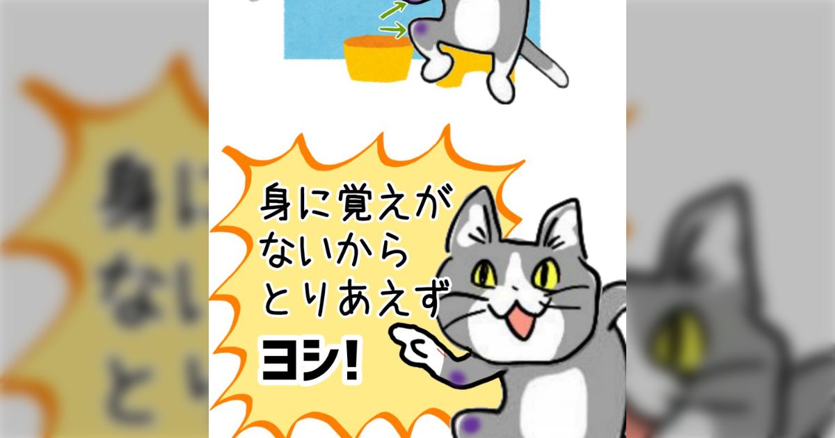 現場猫】いつのまにかアザができてる謎現象→「見に覚えがないから