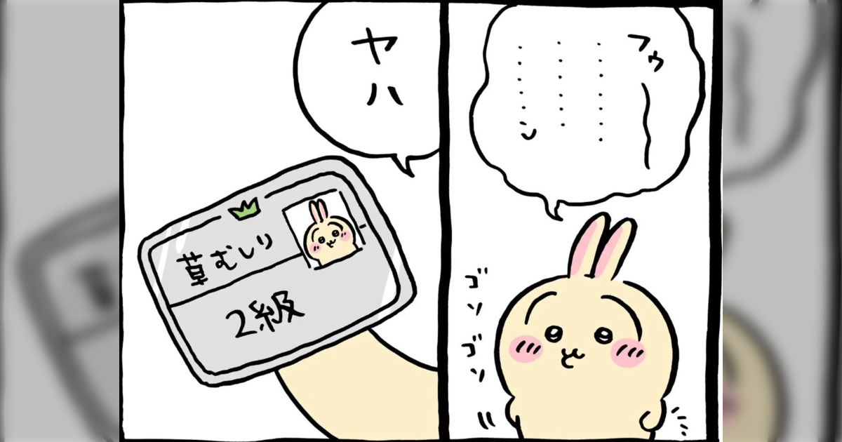 よく考えると、どうやって草むしりで5級から1級までの差を作れるんだよ?→草むしりの奥深さを思い知らされる