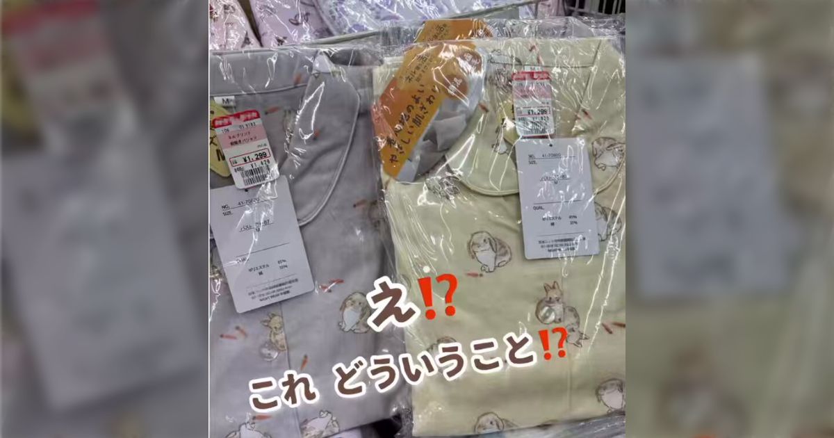 地元にある激安衣料品店でたまたま見つけたパジャマ、どう見ても自分が描いたイラストだった「私の知らない所で勝手に製品になっている」