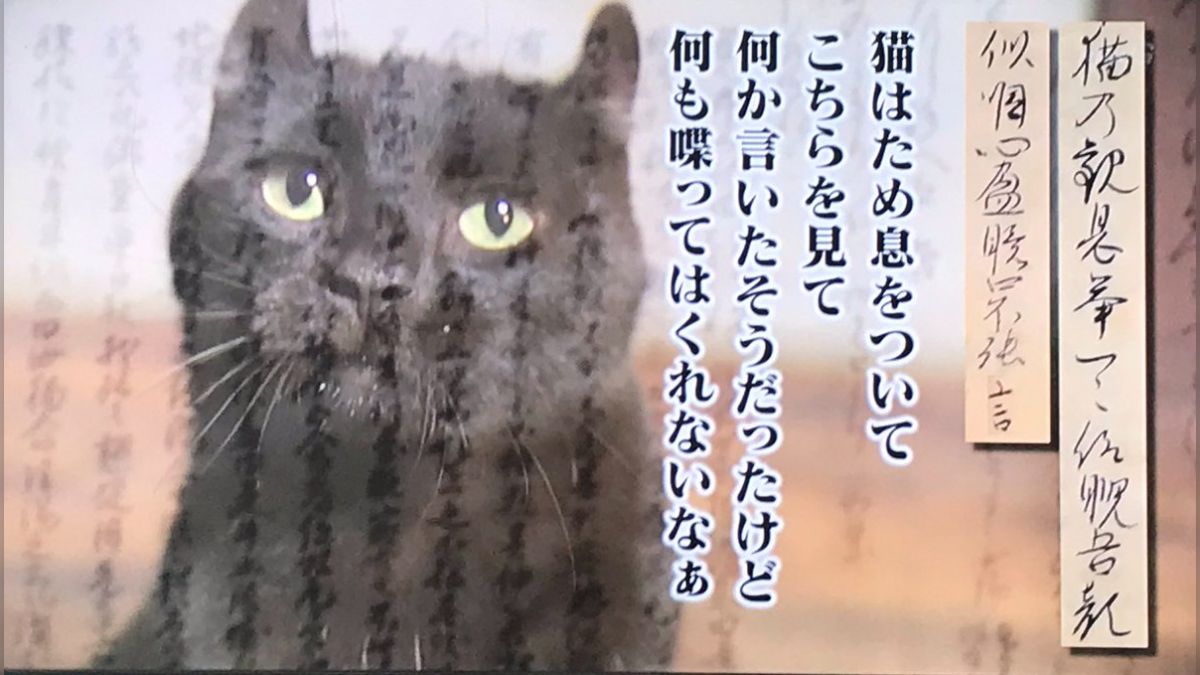 猫は人間の言葉を理解出来る」という話があるけど、日本最古の猫