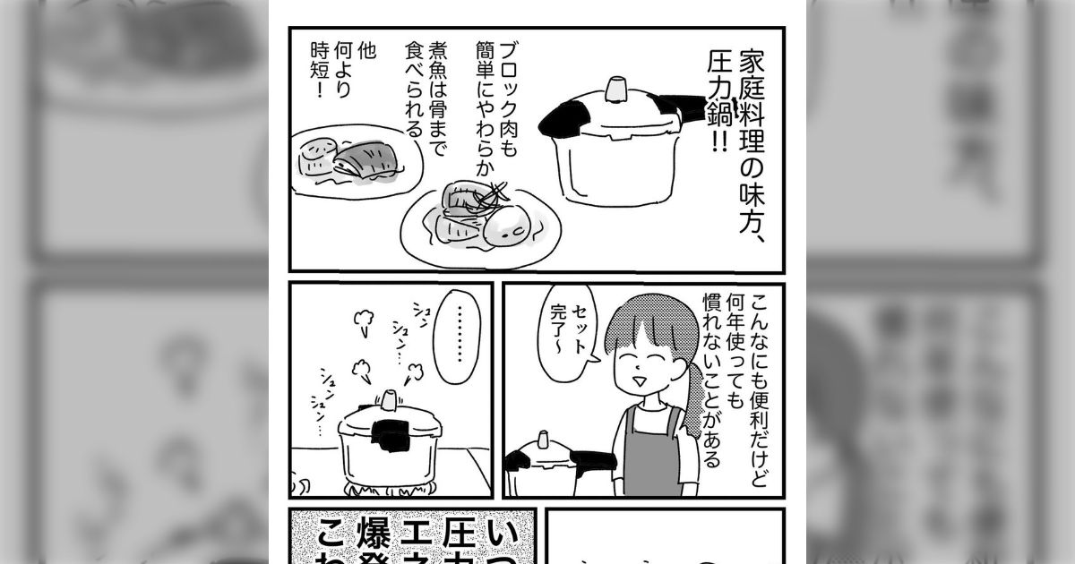 便利に使っているけれど「これは本来、人間がコントロールできるものではないのでは」と圧力鍋にうっすら恐怖してる