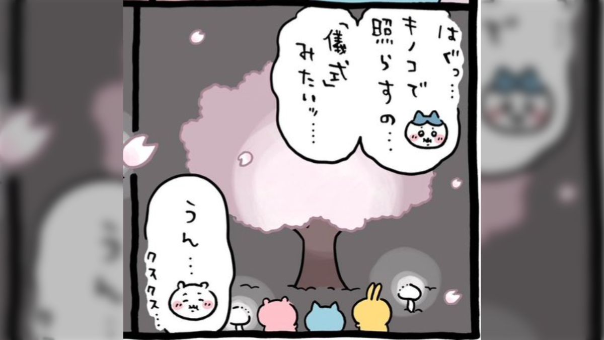 ハチワレシッポ様専用 【公式通販】