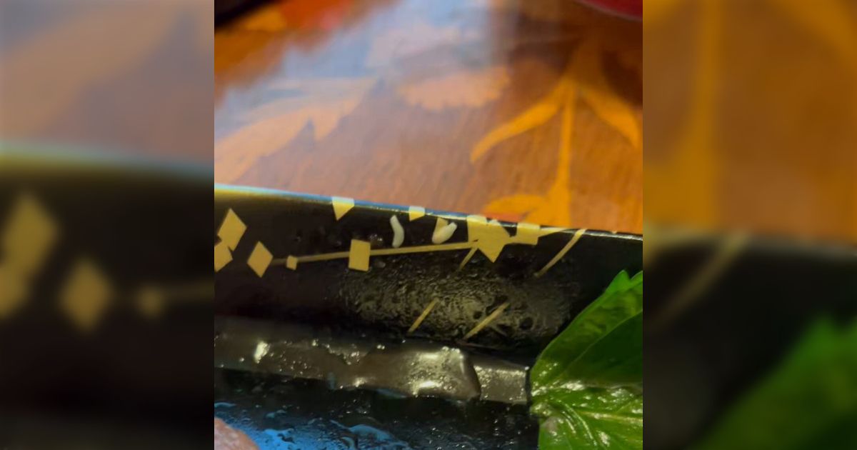 半額の刺身に付いていた魚の脂が動き出したんだけど、これ食べていいやつか？→対象物が真ん中にないのでちょっと見つけづらいけど無事有識者たちから回答が寄せられる
