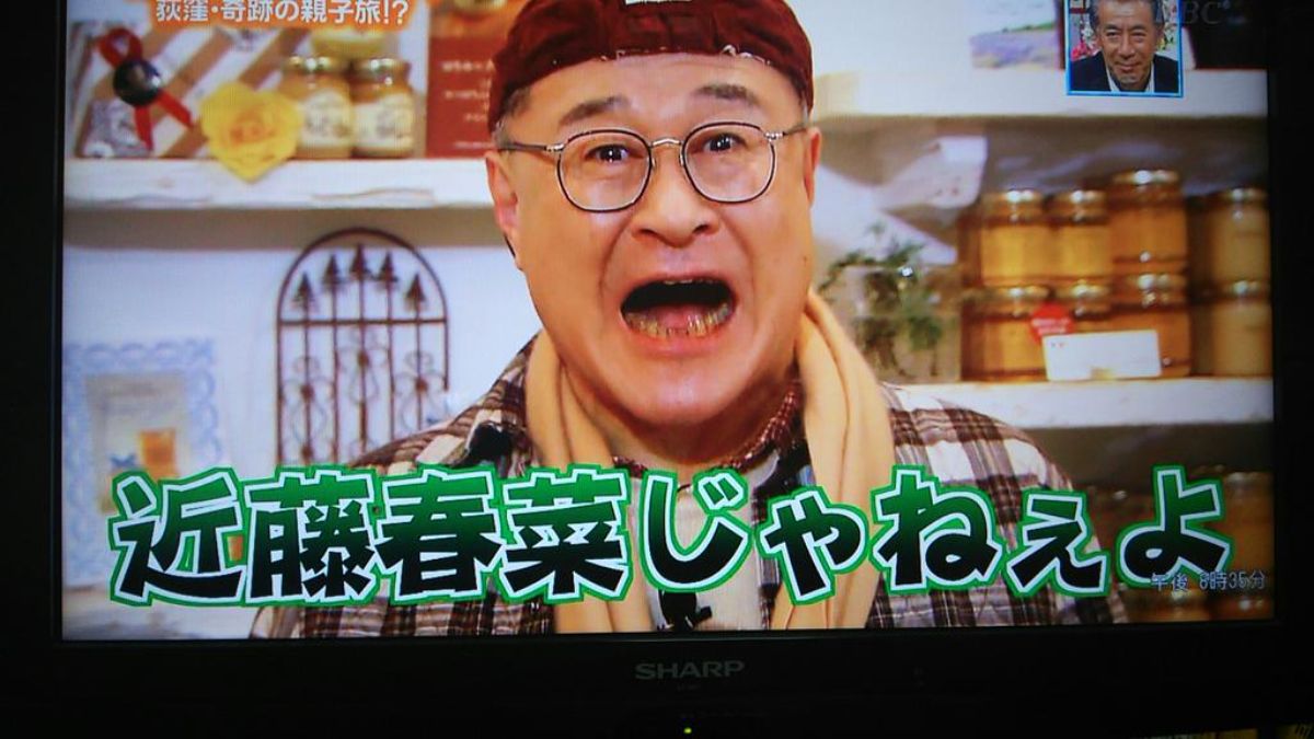 活動歴および当時の関連ビジュアル記録