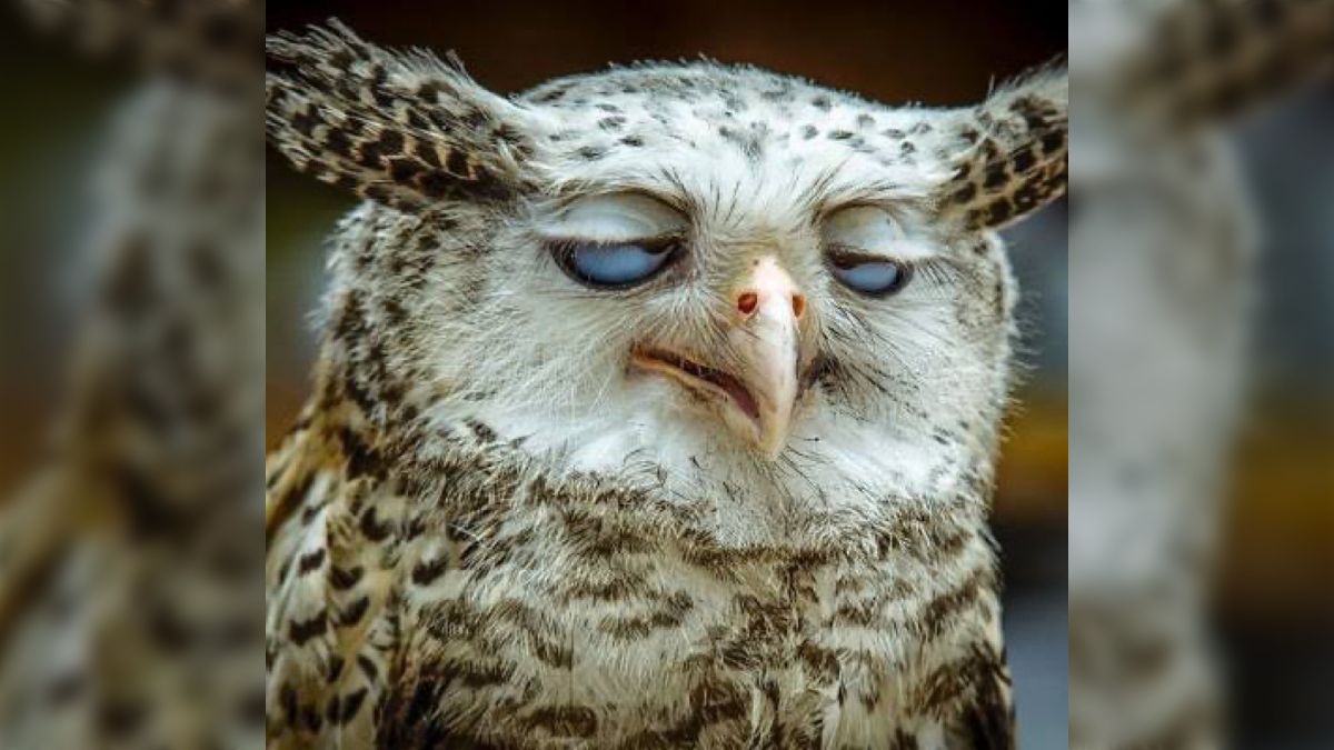 生保外交員投稿画像 