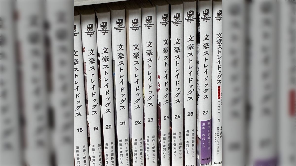 文豪ストレイドッグス 1〜28巻 全巻セット 第一部完結 新品 / 文豪