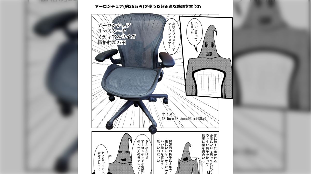 正規品美品 ハーマンミラー アーロンチェア 2023年 リマスタード