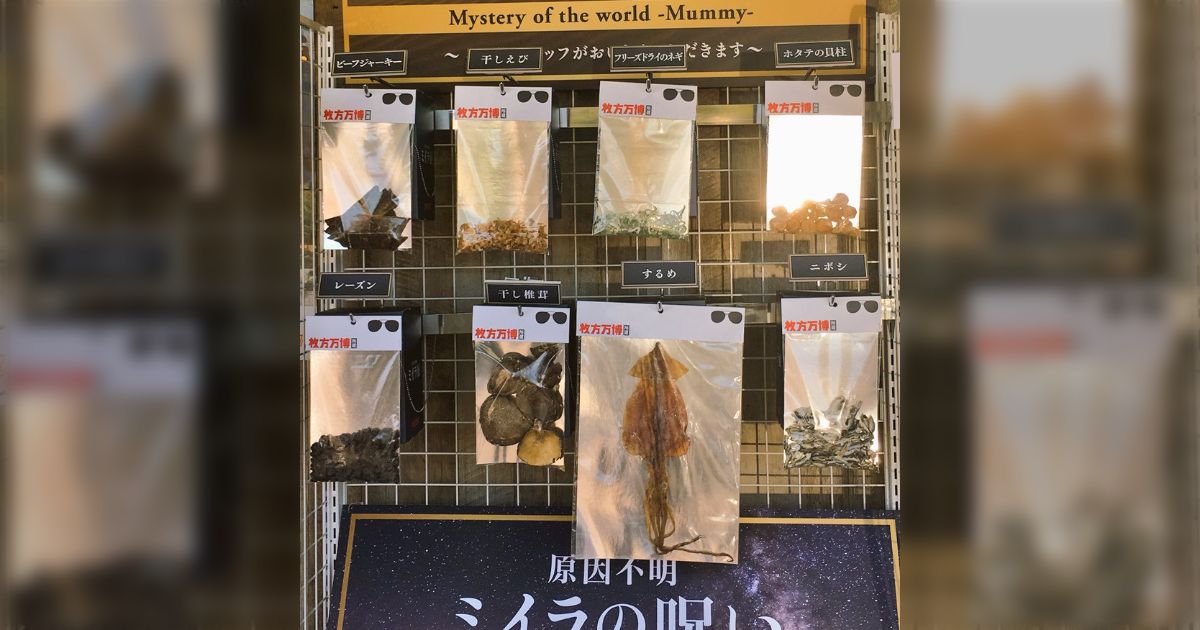 スルメに月