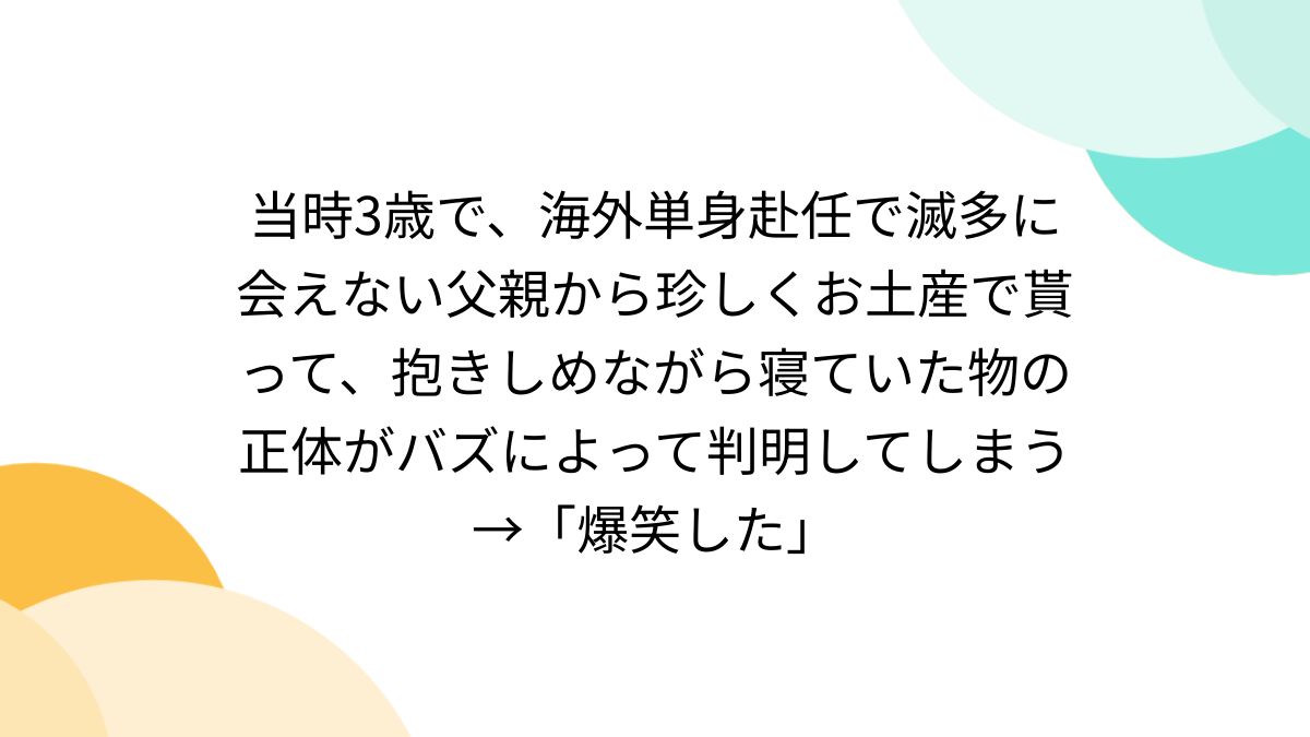 当時3歳で、海外単身赴任で滅多に会えない父親から珍しくお土産で貰って、抱きしめながら寝ていた物の正体がバズによって判明してしまう→「爆笑した」 -  Togetter [トゥギャッター]